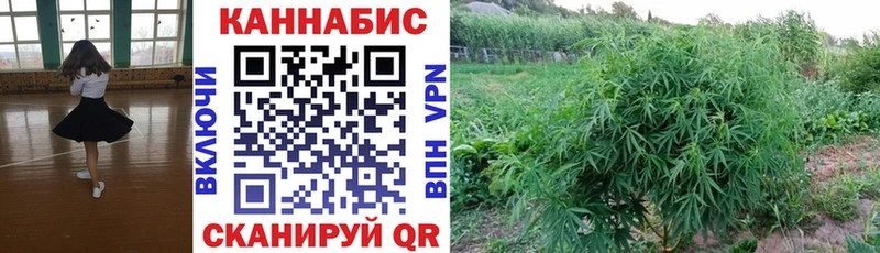 Где купить Новосокольники COCAIN  Альфа ПВП  МЕФ 