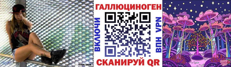 Галлюциногенные грибы Psilocybine cubensis купить наркотик Новосокольники